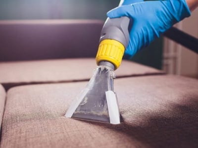 Professional upholstery cleaning