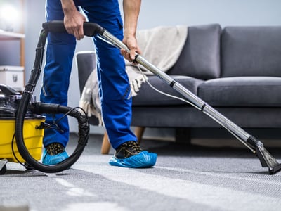 Clean carpet with fresh vacuum lines